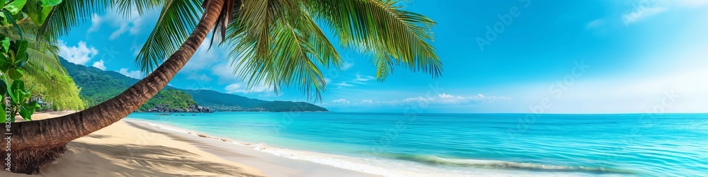 Tropical beach panorama with palm tree and turquoise ocean. Tropical beach panorama with palm tree and turquoise ocean.