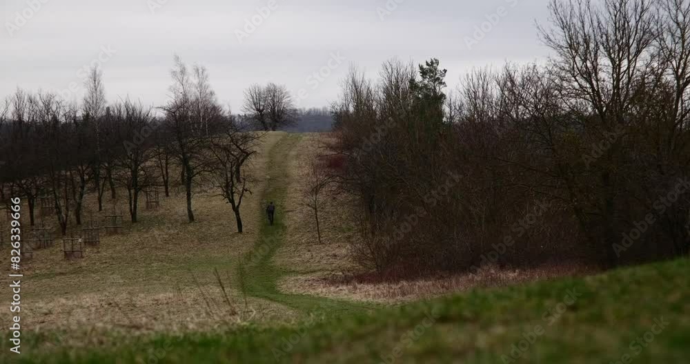 Static view of a man riding a bicycle along forest with leafless trees on a foggy day Static view of a man riding a bicycle along forest with leafless trees on a foggy day