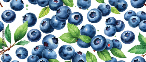 Blueberry pattern background in watercolor3