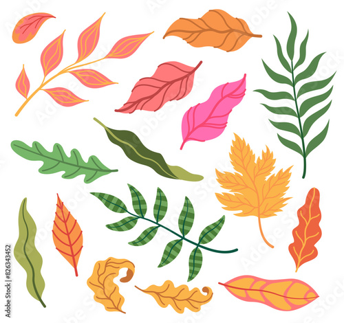 Leaves colorful. Abstract tropical botanical isolated elements, pink and orange foliage. Simple decor. Minimal garden, soring summer season trendy decoration cartoon flat doodle style illustration