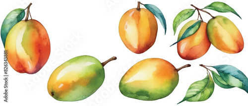Mango pattern background in watercolor4