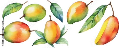 Mango pattern background in watercolor3