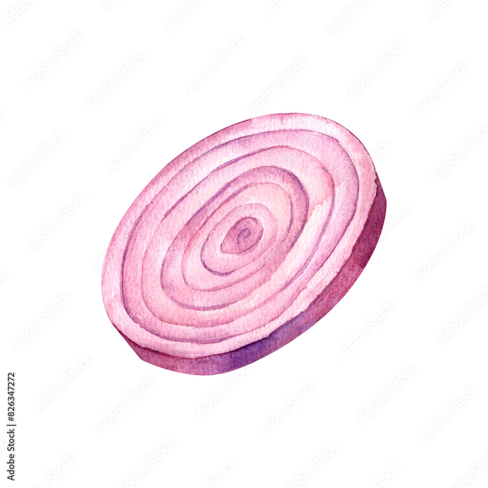 Cut slice onion, watercolor illustration, isolated on white background. For prints on textile and paper, clothes, plates and dishes design, decoration for kitchen, restaurant menus, recipes, cookbook Cut slice onion, watercolor illustration, isolated on white background. For prints on textile and paper, clothes, plates and dishes design, decoration for kitchen, restaurant menus, recipes, cookbook