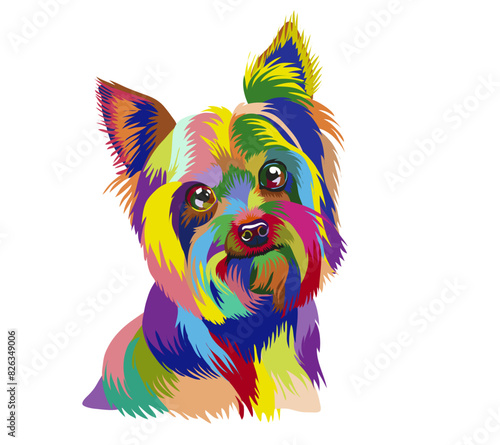 Portrait of a rainbow yorkshire terrier dog