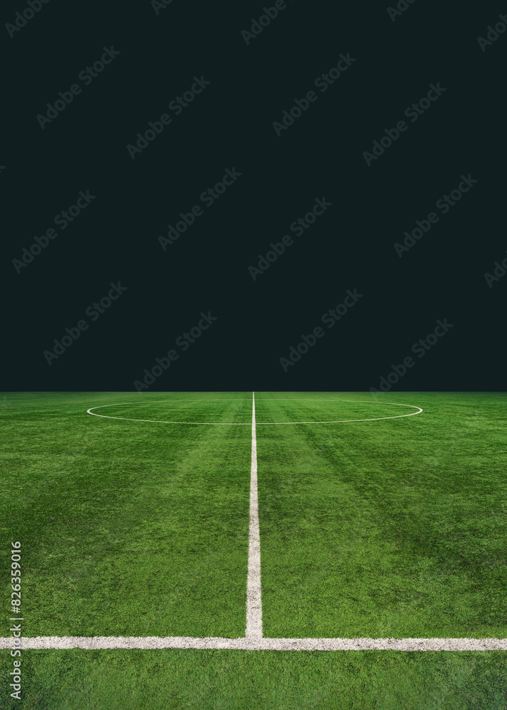 green textured soccer game field  - center, midfield. Poster.