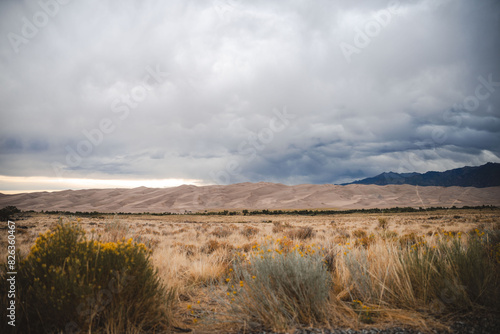 Wallpaper Mural Western Sand dunes Torontodigital.ca