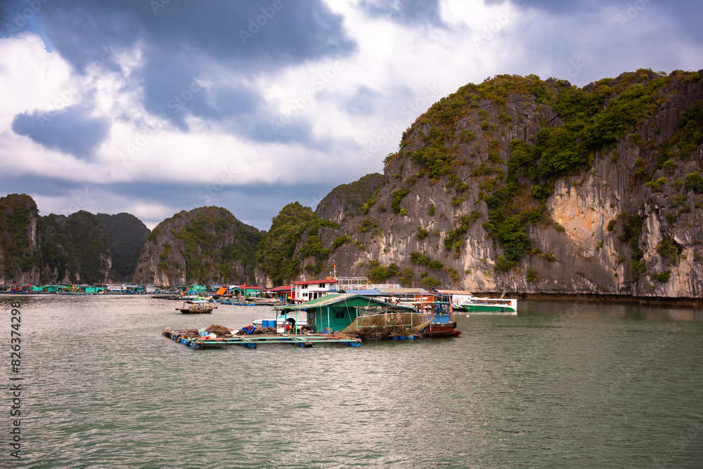 Obraz premium Floating fishing village in sea bay in Vietnam, boats and islands