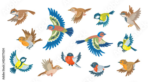 Little birds are flying.  Bullfinch, titmouse, finch, robin, wren and sparrow. Isolated on white background. Vector flat illustration.