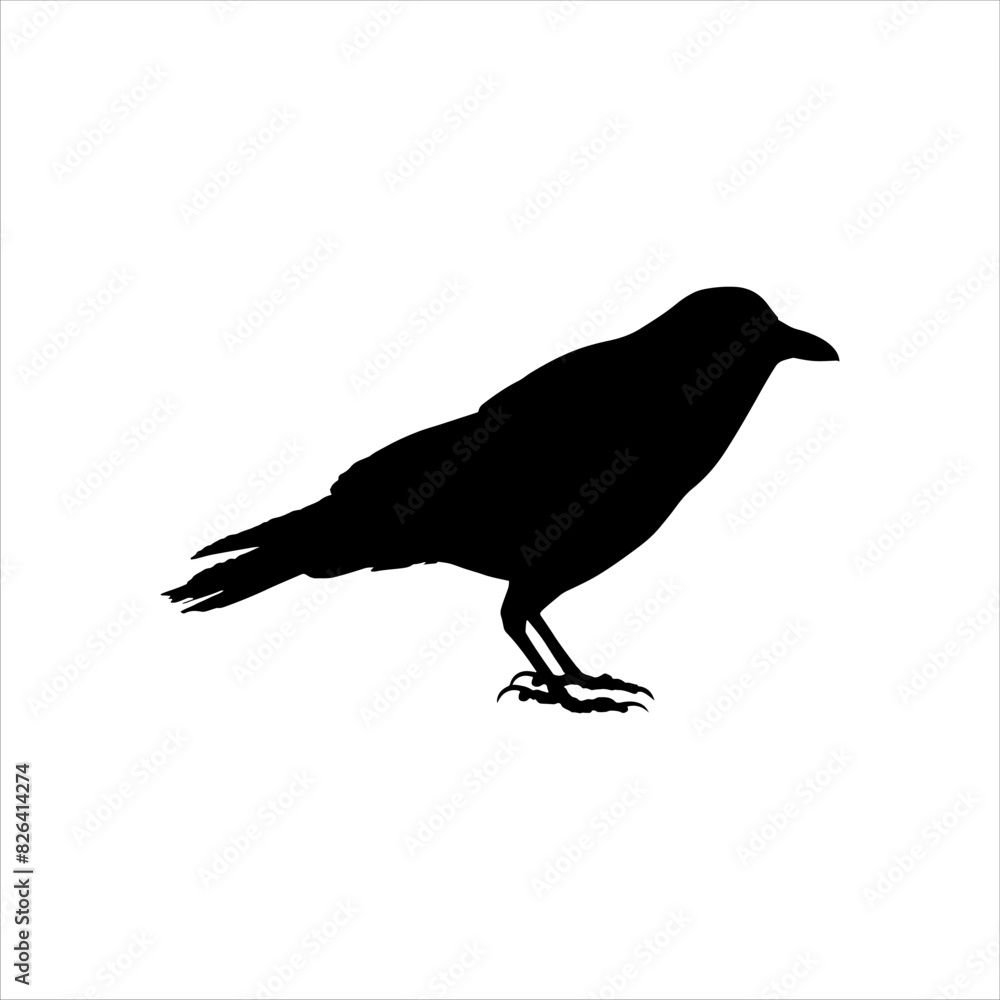Crow silhouette isolated on white background. Crow icon vector illustration design. Crow silhouette isolated on white background. Crow icon vector illustration design.