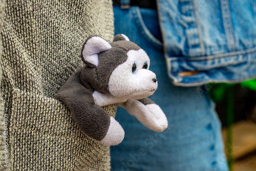 A gray and white dog plush toy peeks out of the jacket pocket