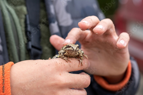 The boy holds a frog on his hand and strokes it with his finger