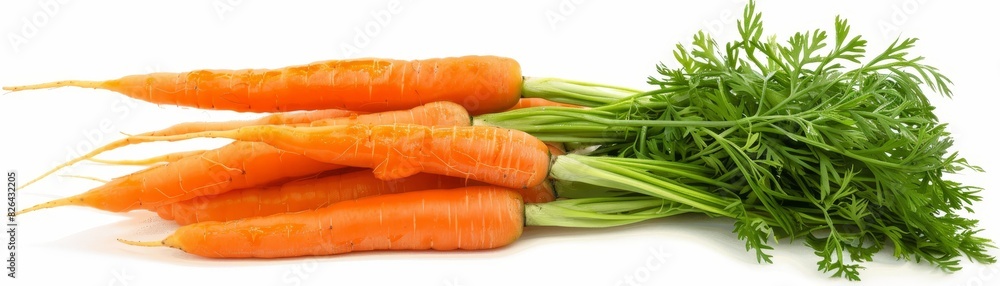 Bundle of fresh carrots with green tops, earthy and vibrant, ideal for healthy eating and farm produce themes, isolated background. Bundle of fresh carrots with green tops, earthy and vibrant, ideal for healthy eating and farm produce themes, isolated background.