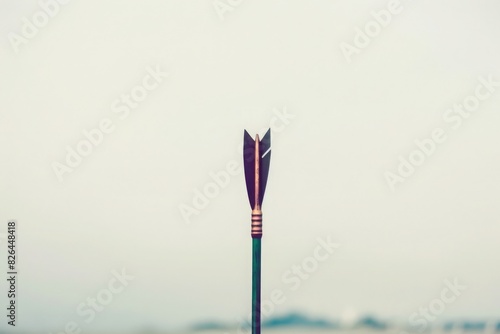 A minimalist portrayal of leadership: a bold arrow pointing forward against a stark white background, symbolizing vision and progress. © Rustam