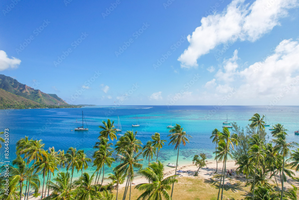 Aerial view of Ta'ahiamanu Beach with Cook's Bay, Moorea Reef, French Polynesia. Aerial view of Ta'ahiamanu Beach with Cook's Bay, Moorea Reef, French Polynesia.