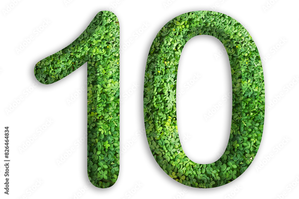 3d of the number of 10 is made from green grass on white background, go green concept 3d of the number of 10 is made from green grass on white background, go green concept