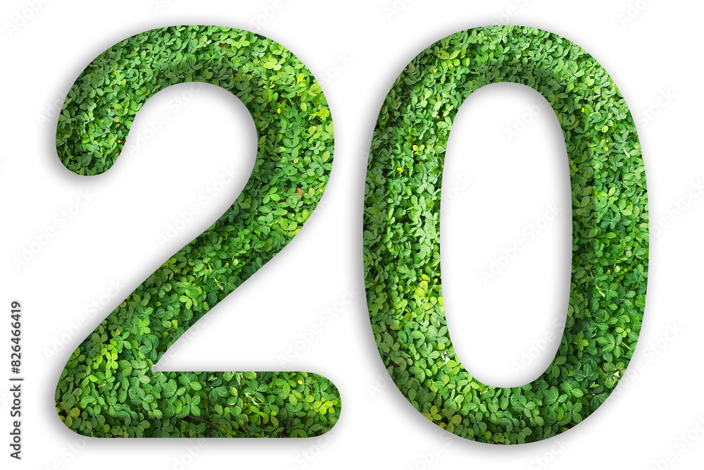 3d of the number of 20 is made from green grass on white background, go green concept 3d of the number of 20 is made from green grass on white background, go green concept