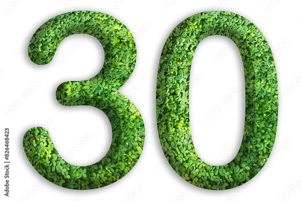 3d of the number of 30 is made from green grass on white background, go green concept 3d of the number of 30 is made from green grass on white background, go green concept