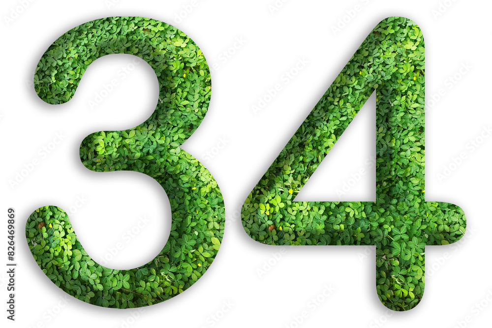 3d of the number of 34 is made from green grass on white background, go green concept 3d of the number of 34 is made from green grass on white background, go green concept