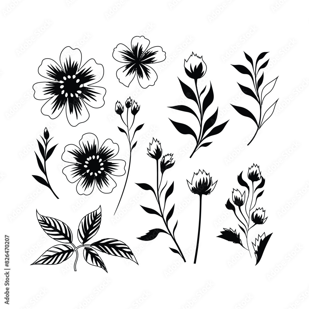 Violet flower silhouette set Clipart on a white Background Violet flower silhouette set Clipart on a white Background