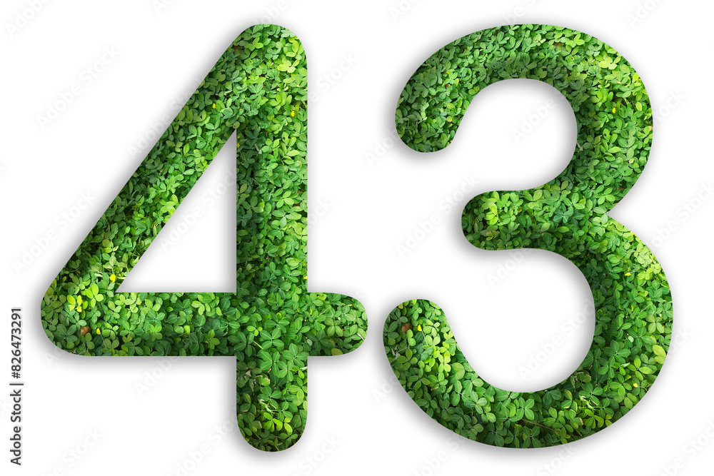 3d of the number of 43 is made from green grass on white background, go green concept 3d of the number of 43 is made from green grass on white background, go green concept