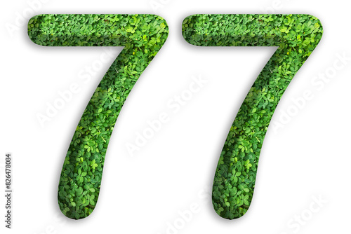 3d of the number of 77 is made from green grass on white background, go green concept