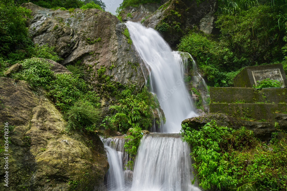 Obraz premium Beautiful Paglajhora waterfall on Kurseong, Himalayan mountains of Darjeeling, West Bengal, India. Origin of Mahananda River flowing through Mahananda Wildlife Sanctuary, Siliguri and Jalpaiguri.