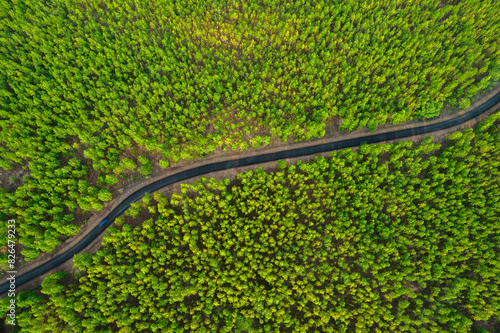 Aerial view of forested valley with winding road and car, Kathakaranjia, Odisha, India. photo