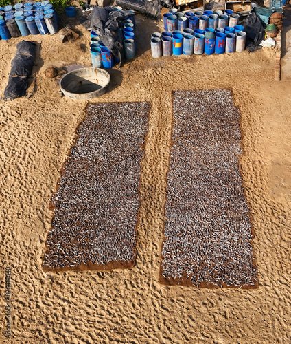 Aerial view of Dry Fish Market with mat, fish, tent, sand, pattern, and barrels, Negombo, Sri Lanka. photo