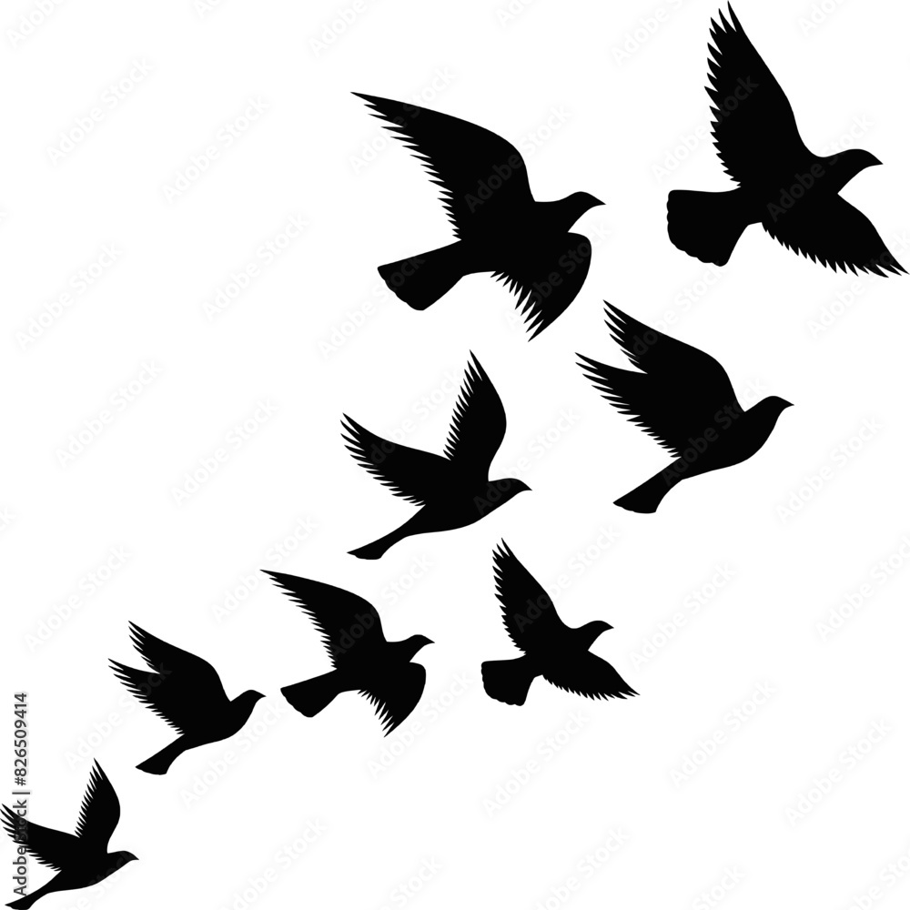Obraz premium A flock of flying birds. Pigeons Flying Silhouettes. group of birds in the sky