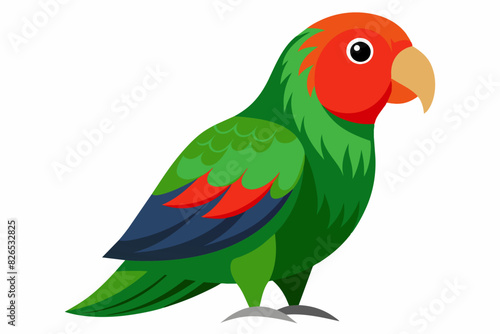 parrot on white background © Rino