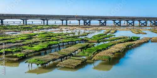 Oyster beds and bridge of Oleron on a sunny day photo