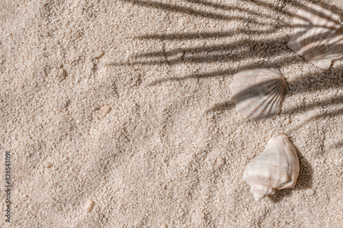 Fototapeta Naklejka Na Ścianę i Meble -  Aesthetic natural summer vacation and resort background, beach sand and sea shells with tropical palm tree leaves sunlight shadows
