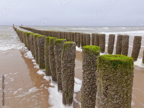Strand in Holland