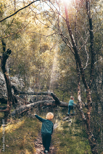 Kids bushwalking and exploring on a nature walk adventure in the Australian bush