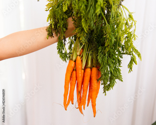 baby carrots being held in a bunch photo