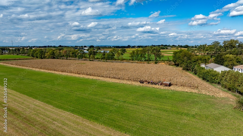 Fototapeta premium An Aerial View of Cornfield and Green Pastures in Rural Landscape