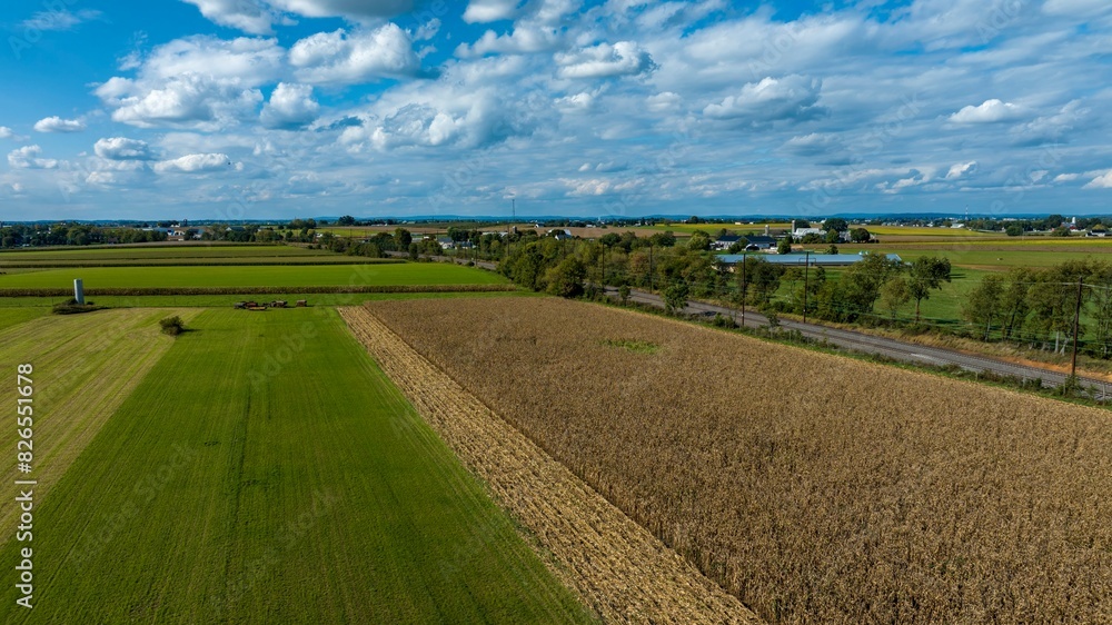 A Cornfield and Green Pastures under Blue Sky with Clouds