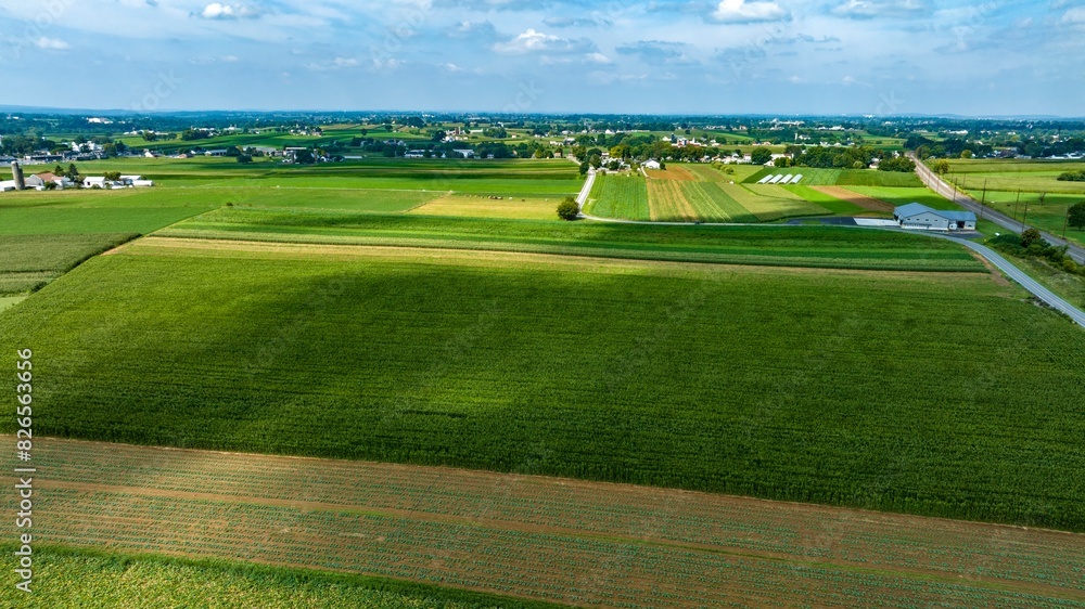 An Expansive Farmland with Rows of Crops and Barns An Expansive Farmland with Rows of Crops and Barns