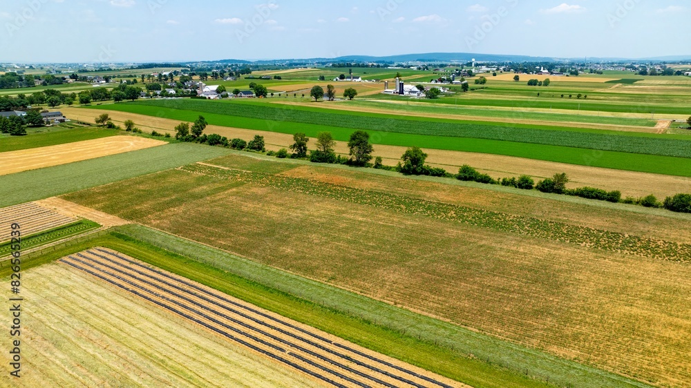 An Aerial View of Agricultural Fields and Rural Community