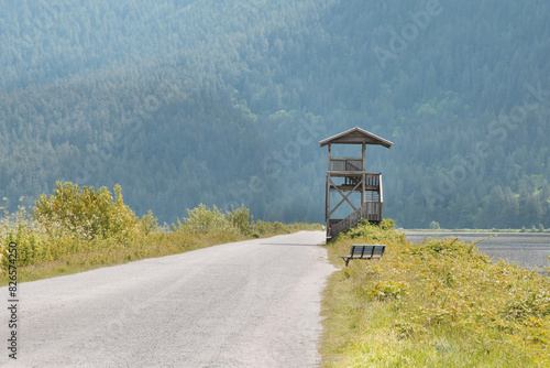 Grant Narrows Regional Park during a spring season in Pitt Meadows, British Columbia, Canada photo