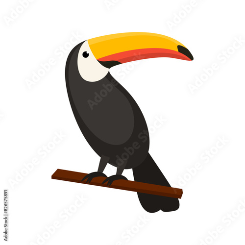 toucan flat vector illustration on white background