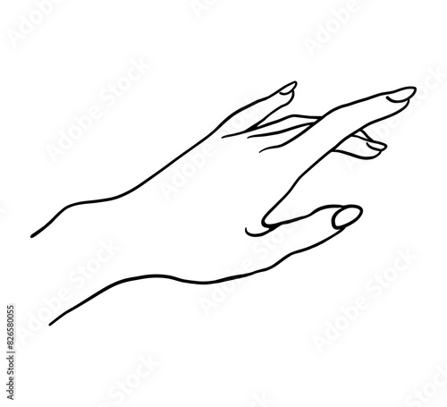 Vector line art female realistic hand. Elegant, feminine female hand with beautiful nails, manicure. Hand drawn illustration of a reaching hand.