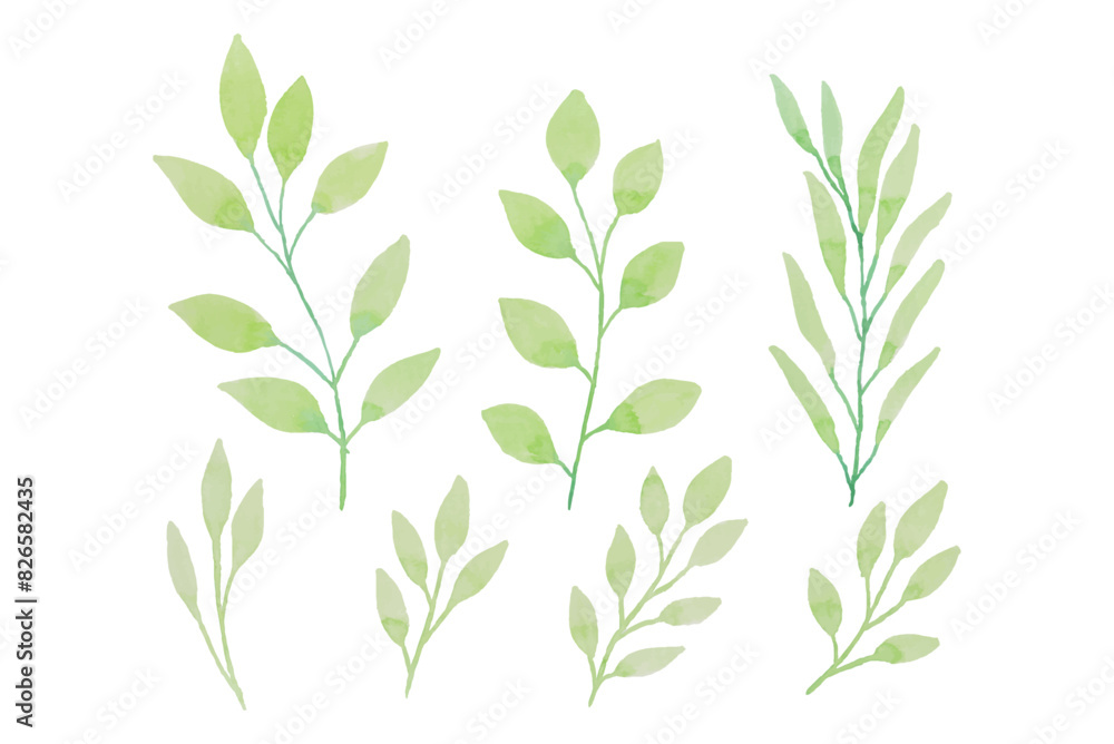Fototapeta premium Assortment of watercolor leaves illustration set - green leaf branches collection for wedding, greetings, stationary, wallpapers, fashion, background. olive, green leaves, Eucalyptus etc