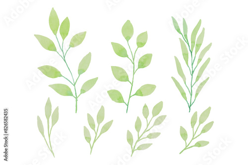 Assortment of watercolor leaves illustration set - green leaf branches collection for wedding, greetings, stationary, wallpapers, fashion, background. olive, green leaves, Eucalyptus etc