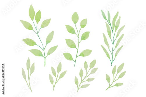 Assortment of watercolor leaves illustration set - green leaf branches collection for wedding  greetings  stationary  wallpapers  fashion  background. olive  green leaves  Eucalyptus etc