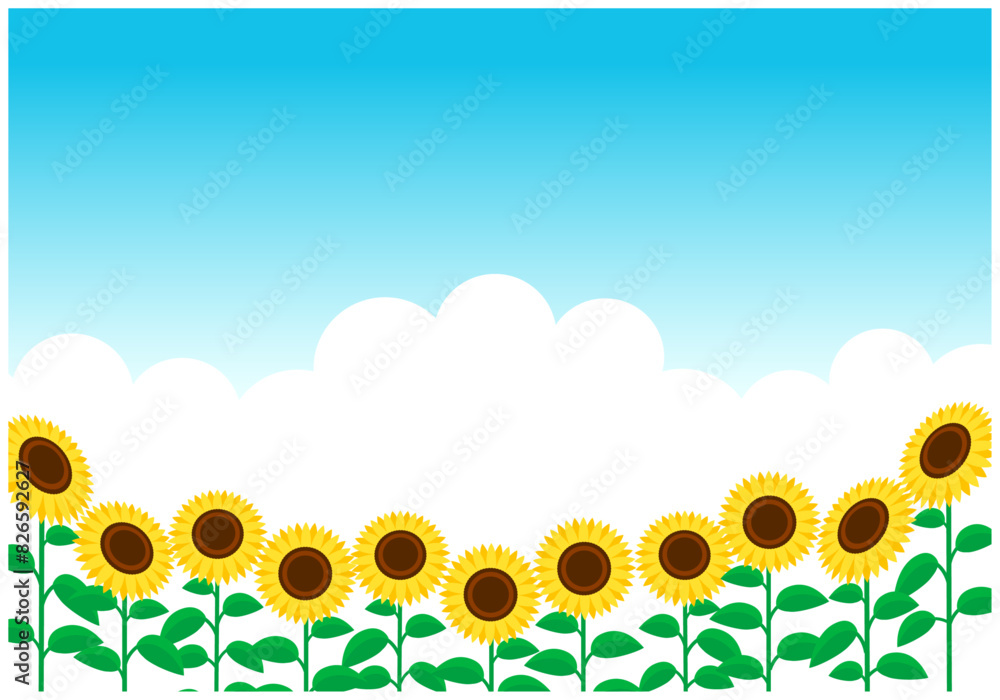 ひまわりの夏イメージ風景背景12水色グラデーション