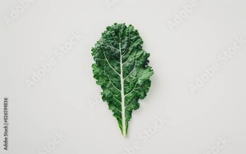 Single green leaf of kale on white background photo
