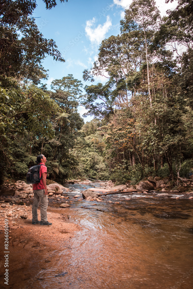 Young tourist enjoying the scenery in the jungle. Copy space Young tourist enjoying the scenery in the jungle. Copy space