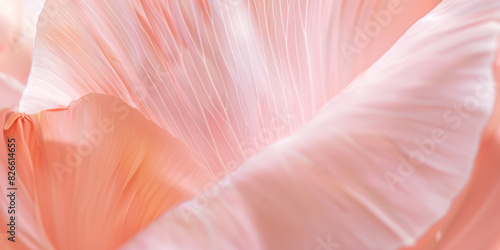 Close Up of Soft Pink Flower Petals Showcasing Delicate Floral Beauty and Texture