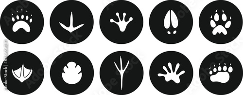 Photography Paw print silhouette. Isolated paw print on white background